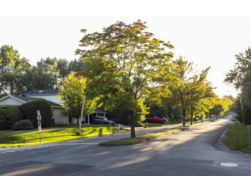 Rinçage d’aqueduc